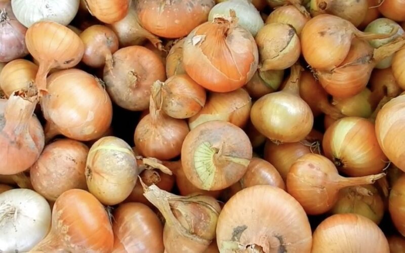 mes juos palaistėme su trąšomis