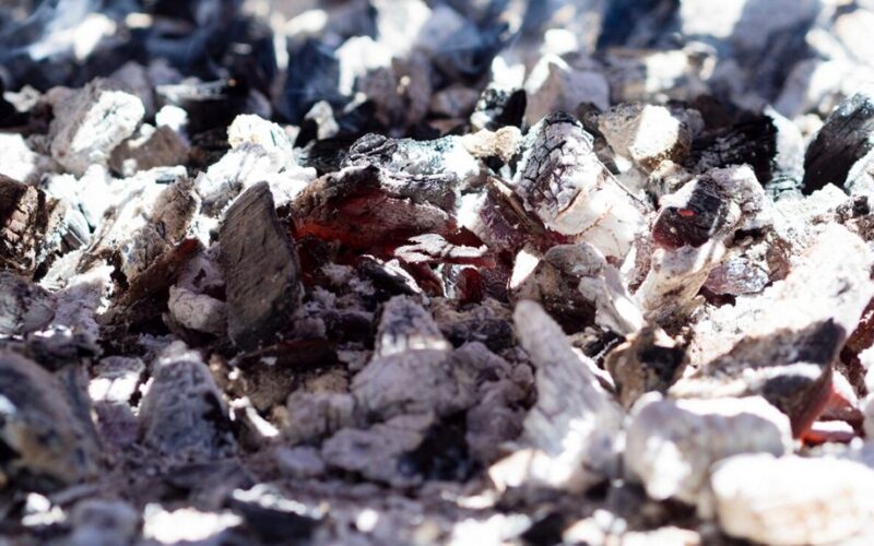 Malkų pelenai kenkia kai kuriems augalams