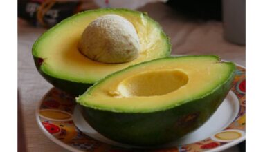 avokadas prinoksta per 30 sekundžių