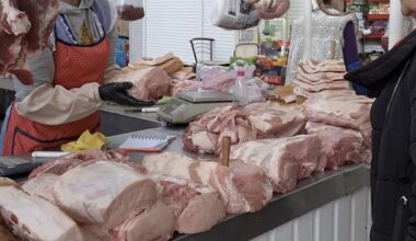 vengti kiaulienos pilvo rinktis nugarinę