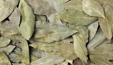 lauro lapas natūraliai pagerina dirvožemį