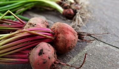 burokėlių gira atgimimo antraštės