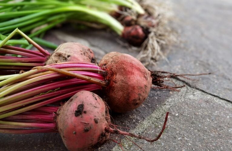 burokėlių gira atgimimo antraštės