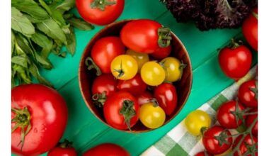 burokėlis prieš pomidorą kovojant su uždegimu