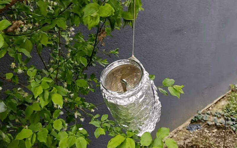 paukščiai vengia folija dengto stiklainio