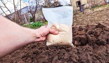 nupirko 3 kg grūdų prekyba