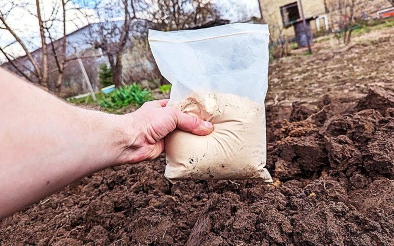 nupirko 3 kg grūdų prekyba