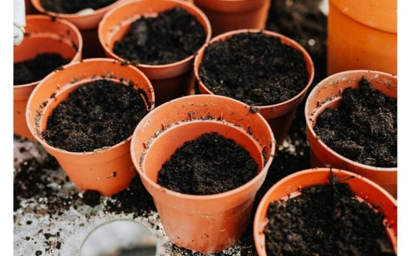 patikrink sėklas su plūduriavimu