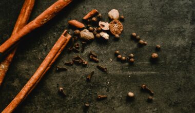 cinamono sodas ir buitiniai naudojimai