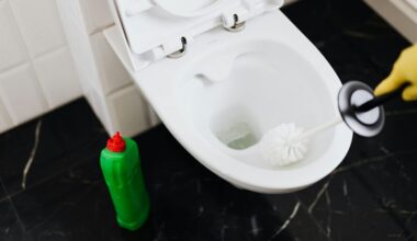 išvalykite tualeto šepetį per kelias minutes