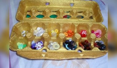 sumanūs namų savininkai pritaiko padėklus iš naujo