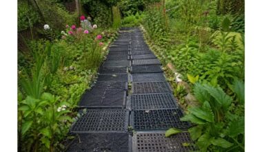 renkant plastikines dėžes takelyje