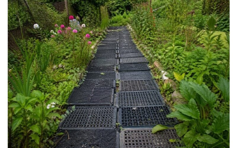 renkant plastikines dėžes takelyje