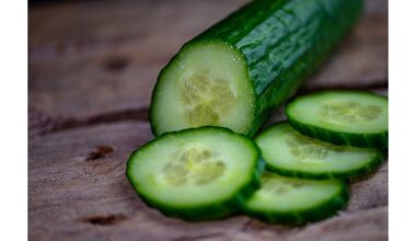 lygžygės sodinimo palydovas padidina agurkų derlių