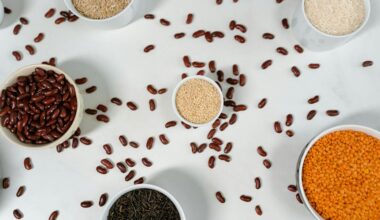 pilni baltymai geriau nei mėsa