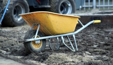 šalis vežimo ratas lobis