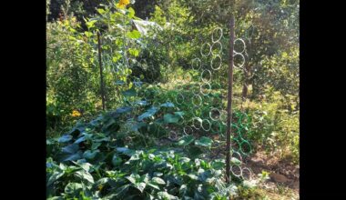 nertasis sodinis tinklas iš butelių