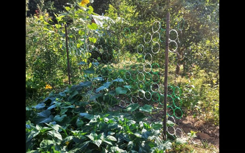 nertasis sodinis tinklas iš butelių