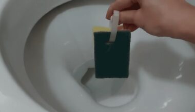 paminkštintas tualeto apvadas pats valosi