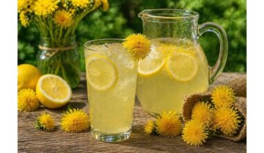 kiaulpienių sirupas svorio metimo stebuklas