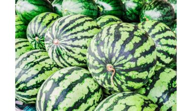 atskiesti 1 5 melionams