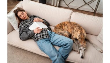 šuo miega prie kojų apsauga prisirišimas