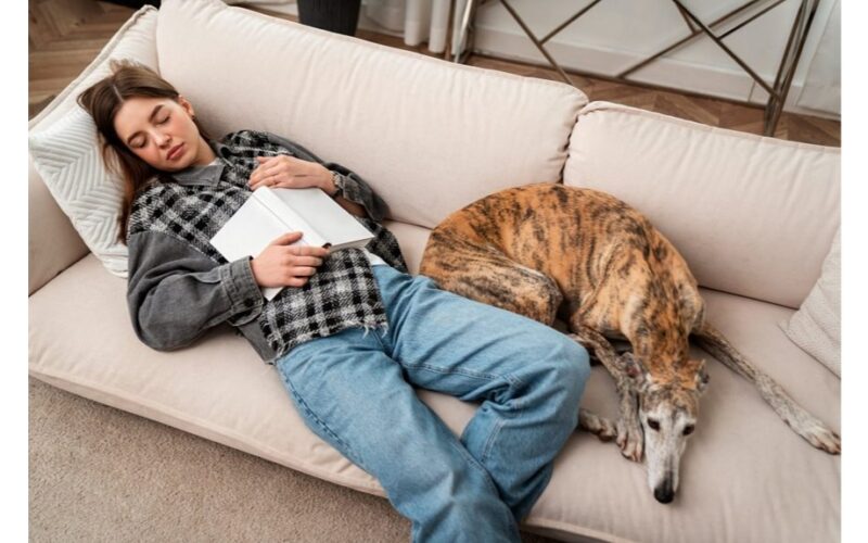 šuo miega prie kojų apsauga prisirišimas