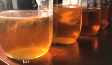 nedėk acto naudok skobi