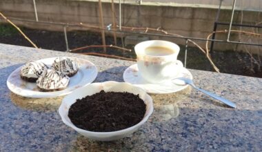 nėra švaistyti panaudotų kavos tirščių