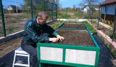 amžinų sodo lysvių idėja