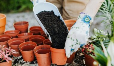 tręšti gėles soda