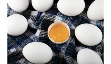 apvaisinti prieš neapvaisintus kiaušinius