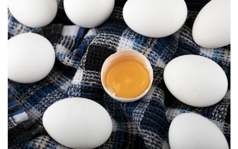 apvaisinti prieš neapvaisintus kiaušinius