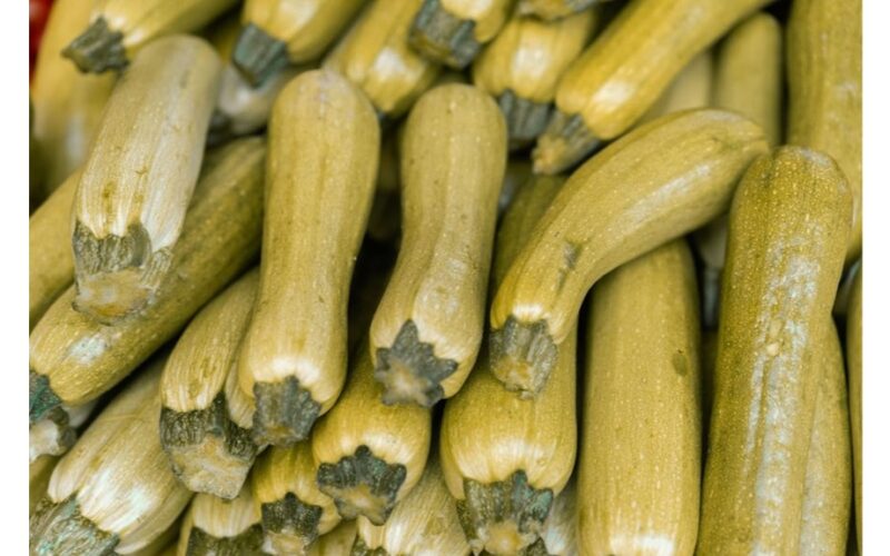 pirmas kartas cukinijų maitinimas pavydas