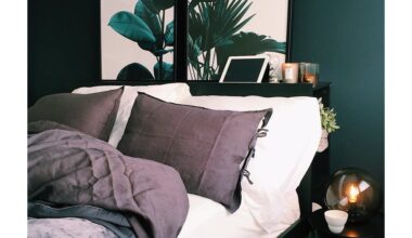 penkių miegamųjų draugiški naudingi augalai