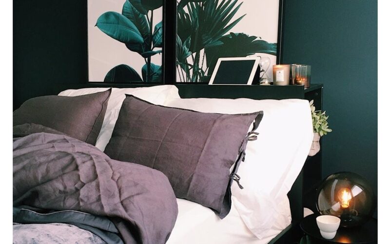 penkių miegamųjų draugiški naudingi augalai