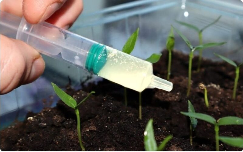 penkios pavojingiausios trąšos