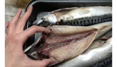 draugas atsisako plastikine pakuote supakuotų silkės