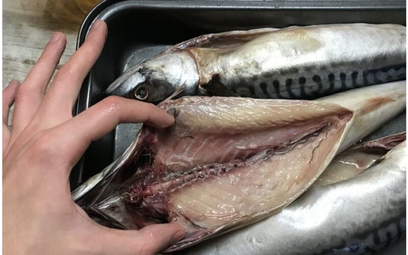 draugas atsisako plastikine pakuote supakuotų silkės