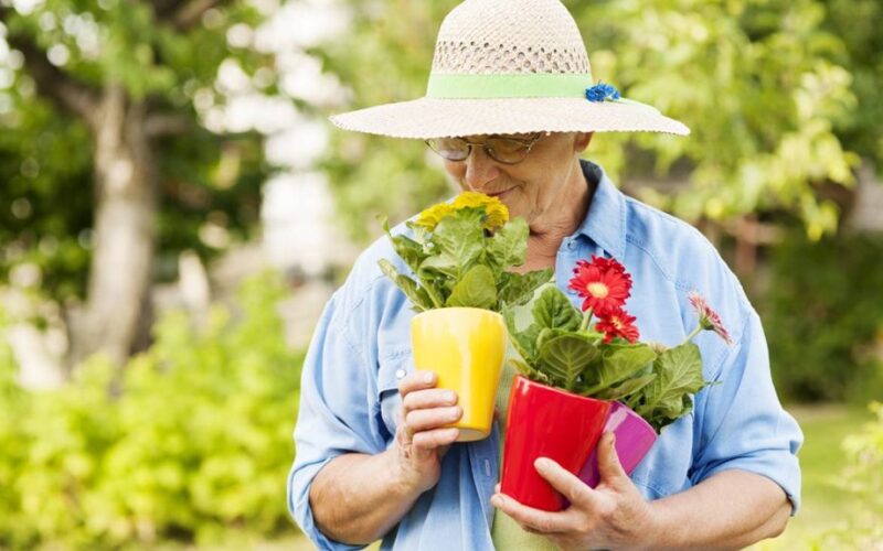 sodininkystė gerina psichinę sveikatą