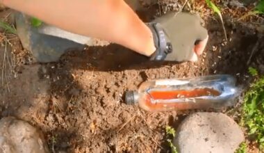 atsikratyti amarų magnetiškai