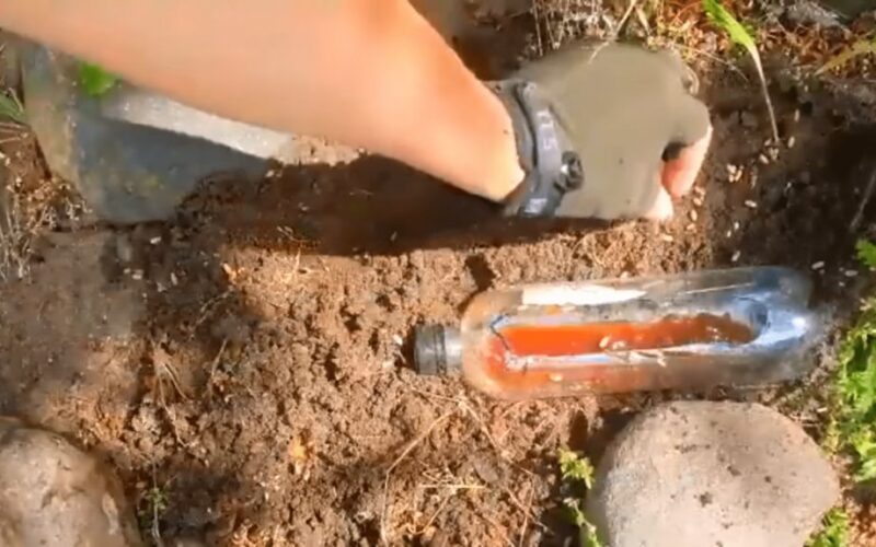 atsikratyti amarų magnetiškai