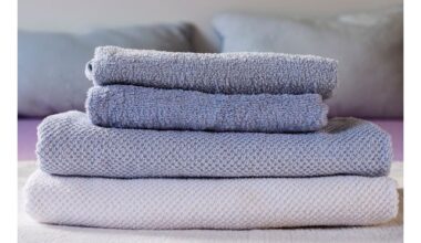 auksinė higienos taisyklė rankšluosčiai