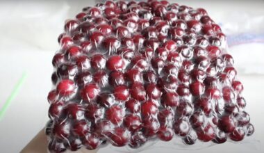 anūkai valgo vyšnias ištisus metus