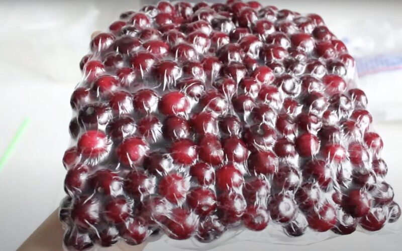 anūkai valgo vyšnias ištisus metus