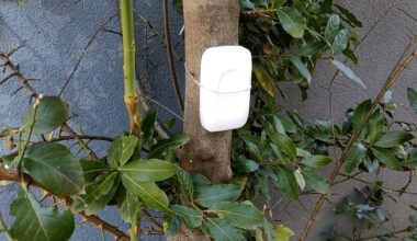 močiutės 89 metų priemonė