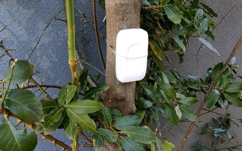 močiutės 89 metų priemonė