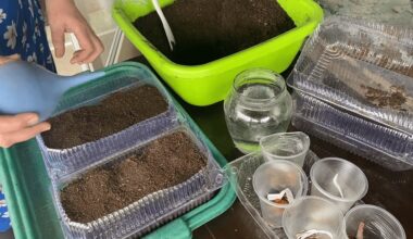 auginant našlaites iš daigyklų