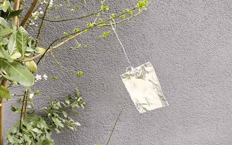 kabantis folijos juostelės atbaido paukščius