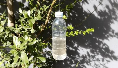 kabanti actelio buteliukas atbaido paukščius